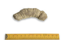 F 00095
<br/>
<br/>
<em></em>